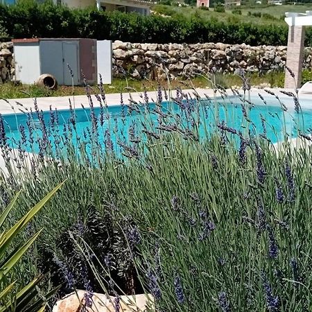 Villa Miro, Stupenda Villa Con Piscina Privata Castellammare del Golfo Exterior photo